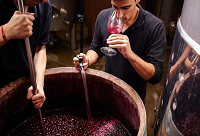 ���ѳ�������������ѾƵ�Σ��!!!