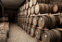 �����˽���ľͰ������