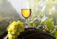 ���Ѿ��_ƿ�󵽵��ܷŶ����